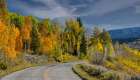 USA, Wyoming. Aspens in fall color along Buffalo Valley Road Art Print